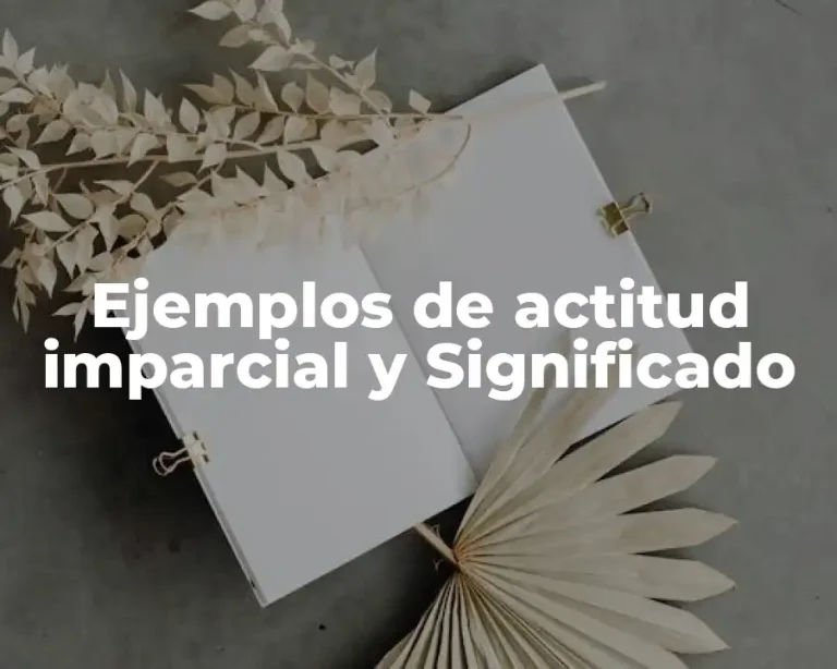 Ejemplos de actitud imparcial y Significado