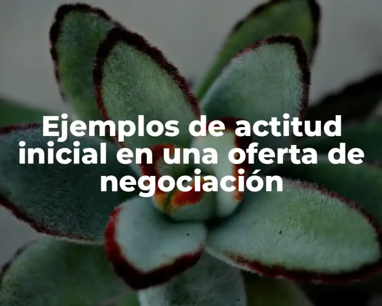 Ejemplos de actitud inicial en una oferta de negociación
