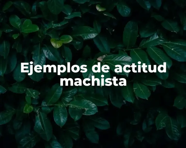 Ejemplos de actitud machista
