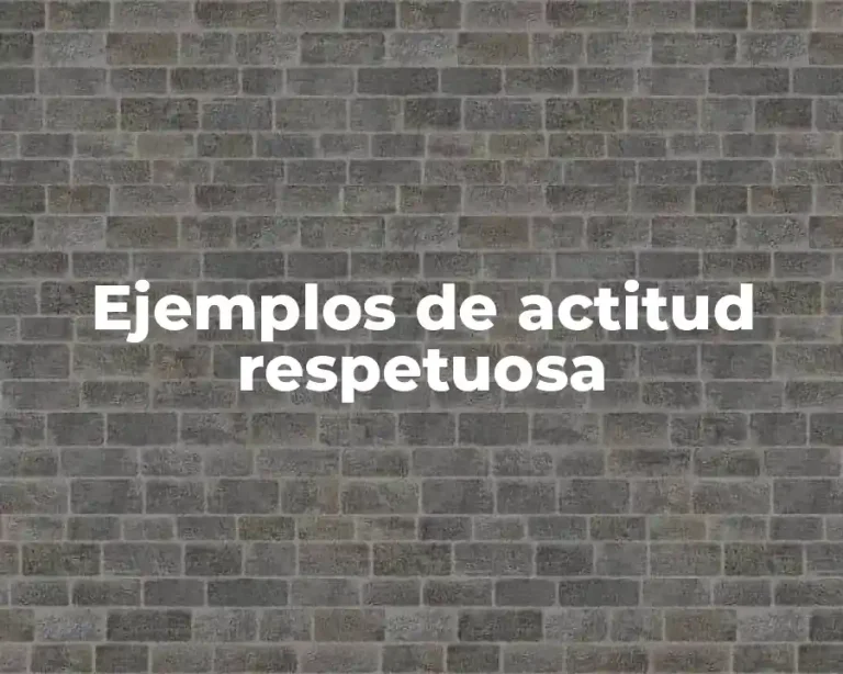 Ejemplos de actitud respetuosa