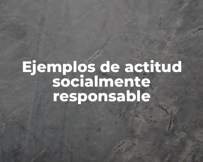 Ejemplos de actitud socialmente responsable