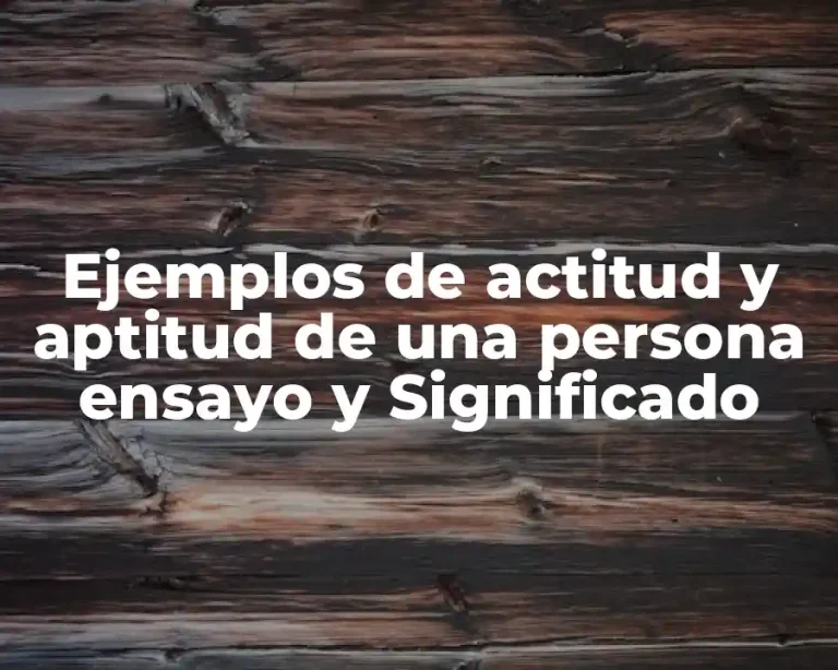 Ejemplos de actitud y aptitud de una persona ensayo y Significado