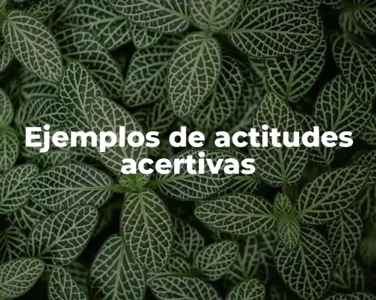 Ejemplos de actitudes acertivas