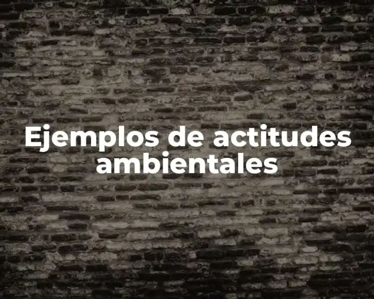 Ejemplos de actitudes ambientales