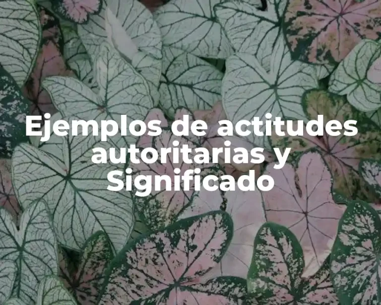 Ejemplos de actitudes autoritarias y Significado
