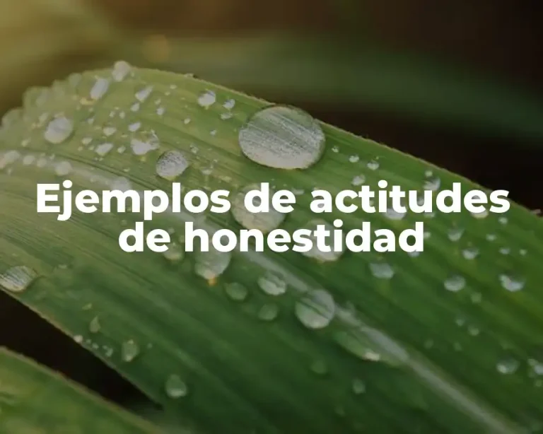 Ejemplos de actitudes de honestidad