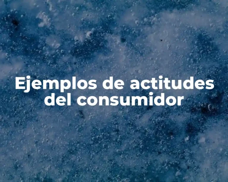 Ejemplos de actitudes del consumidor