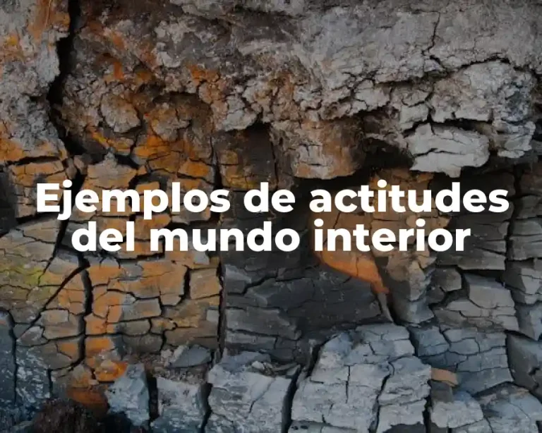 Ejemplos de actitudes del mundo interior
