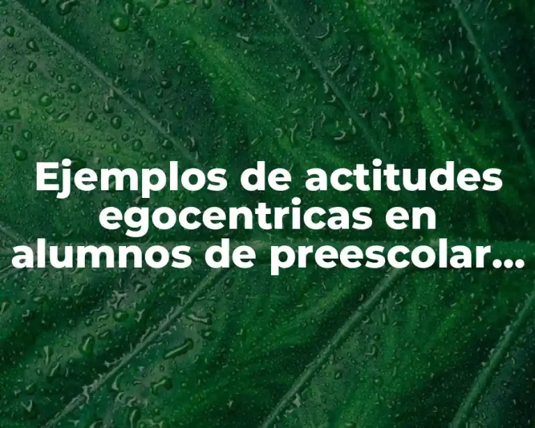 Ejemplos de actitudes egocentricas en alumnos de preescolar y Significado