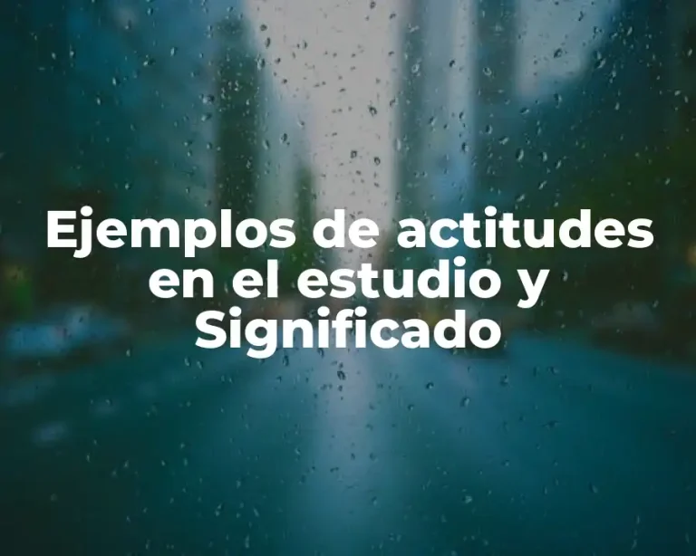 Ejemplos de actitudes en el estudio y Significado