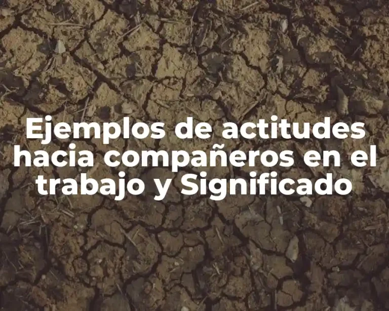 Ejemplos de actitudes hacia compañeros en el trabajo y Significado