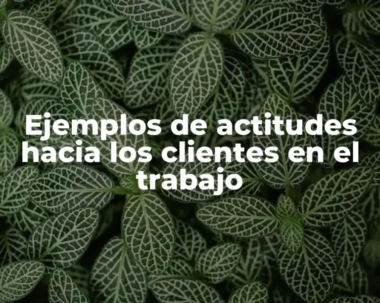 Ejemplos de actitudes hacia los clientes en el trabajo