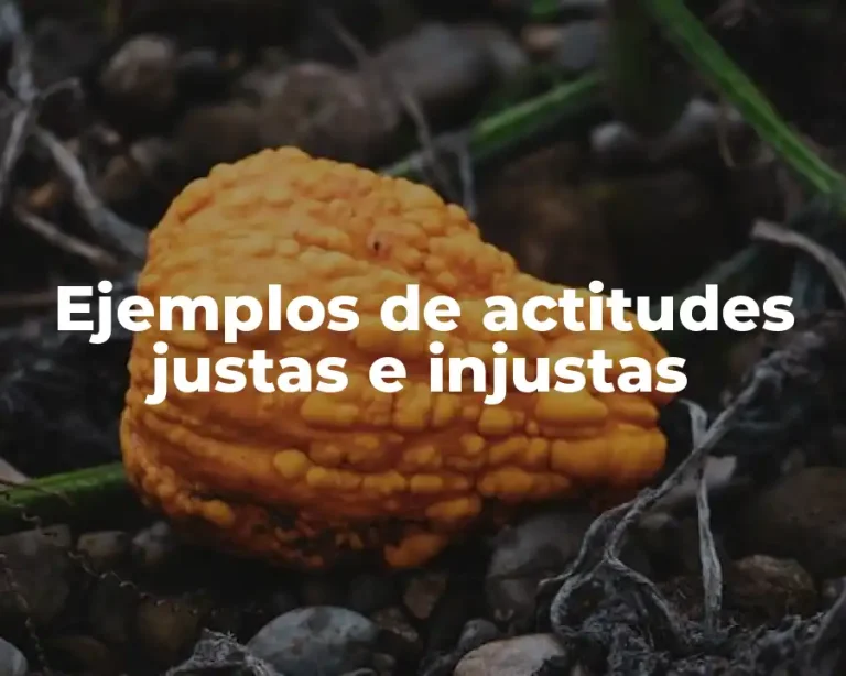 Ejemplos de actitudes justas e injustas