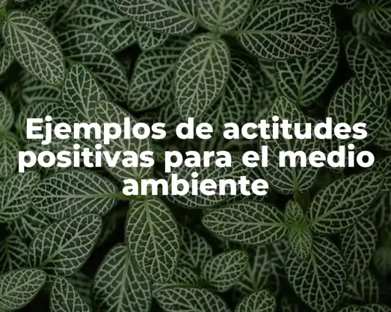 Ejemplos de actitudes positivas para el medio ambiente