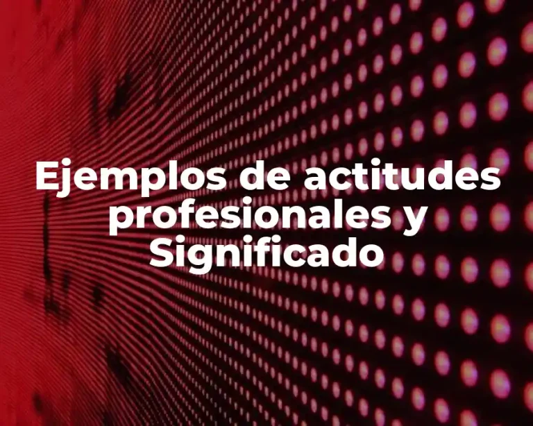 Ejemplos de actitudes profesionales y Significado