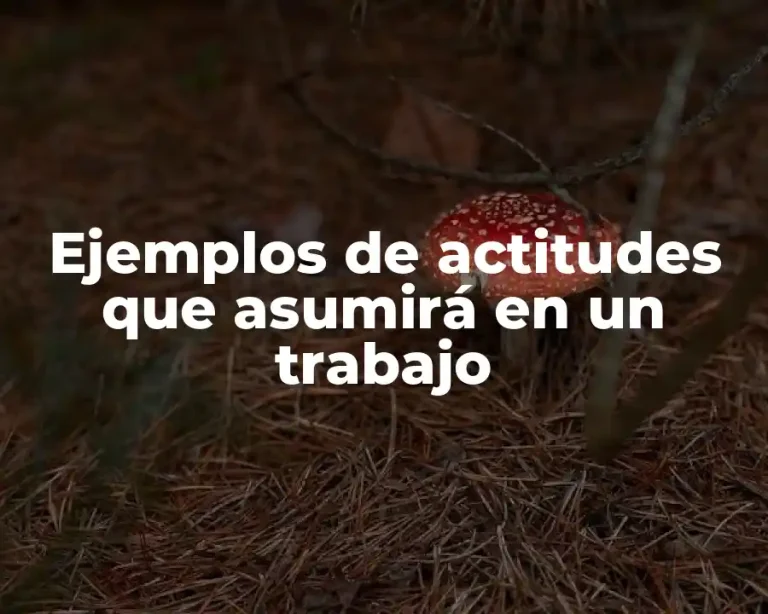 Ejemplos de actitudes que asumirá en un trabajo