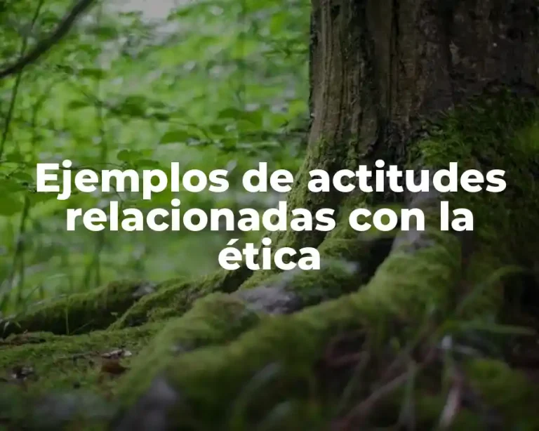 Ejemplos de actitudes relacionadas con la ética