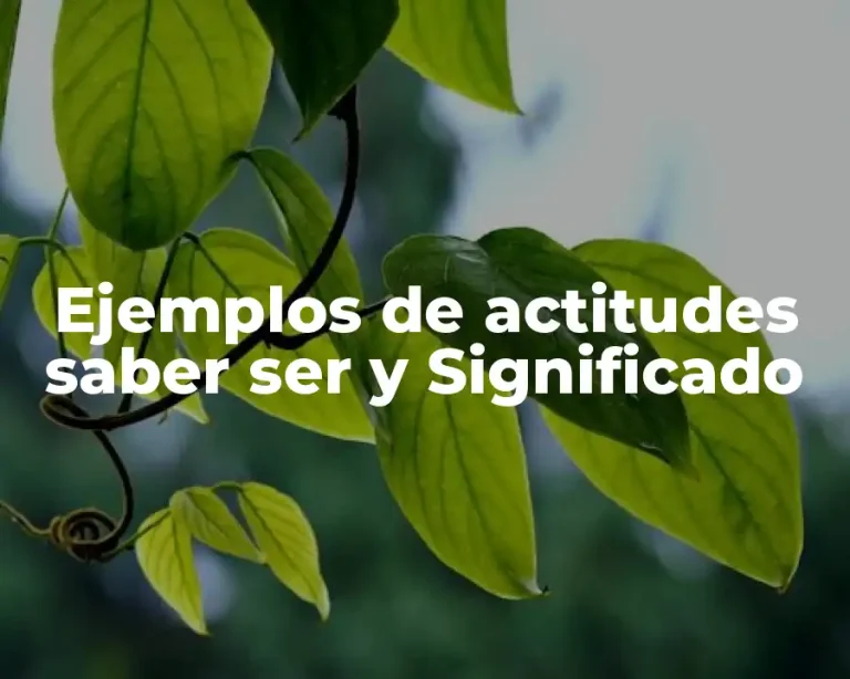 Ejemplos de actitudes saber ser y Significado