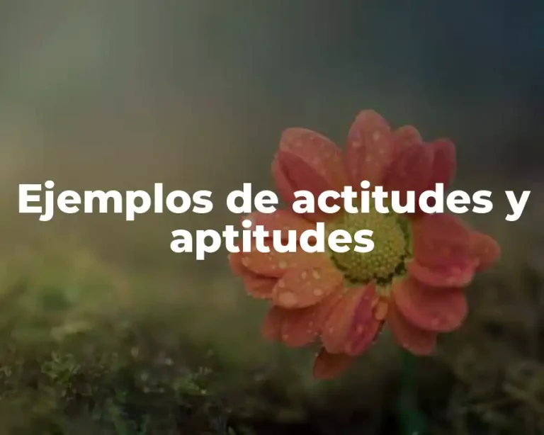 Ejemplos de actitudes y aptitudes