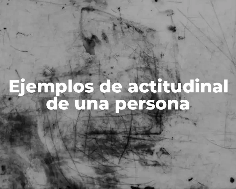 Ejemplos de actitudinal de una persona