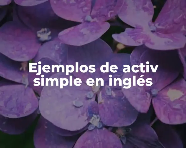 Ejemplos de activ simple en inglés
