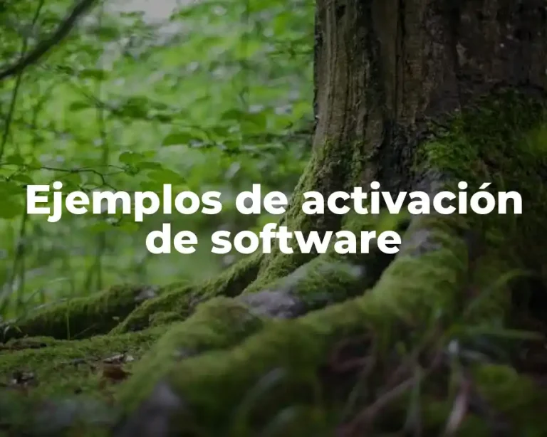 Ejemplos de activación de software