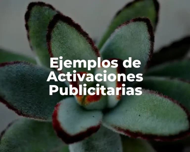 Ejemplos de Activaciones Publicitarias