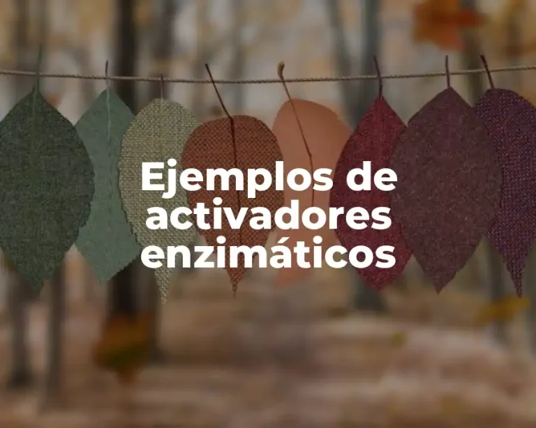 Ejemplos de activadores enzimáticos