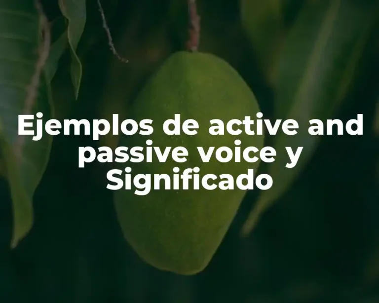 Ejemplos de active and passive voice y Significado
