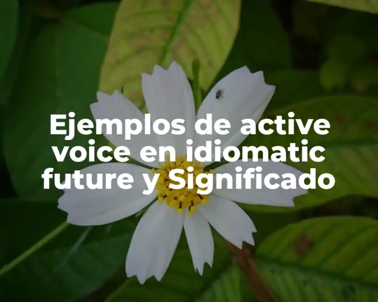 Ejemplos de active voice en idiomatic future y Significado