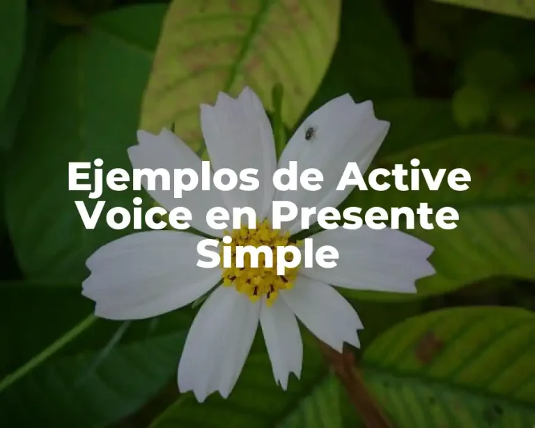 Ejemplos de Active Voice en Presente Simple
