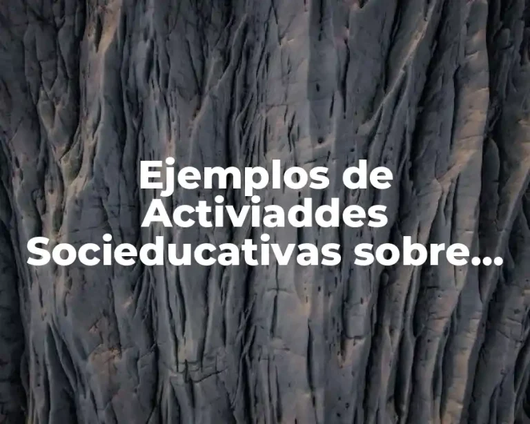 Ejemplos de Activiaddes Socieducativas sobre Actividades Extraescolares