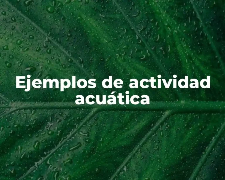 Ejemplos de actividad acuática
