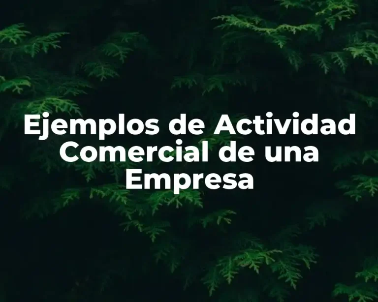 Ejemplos de Actividad Comercial de una Empresa