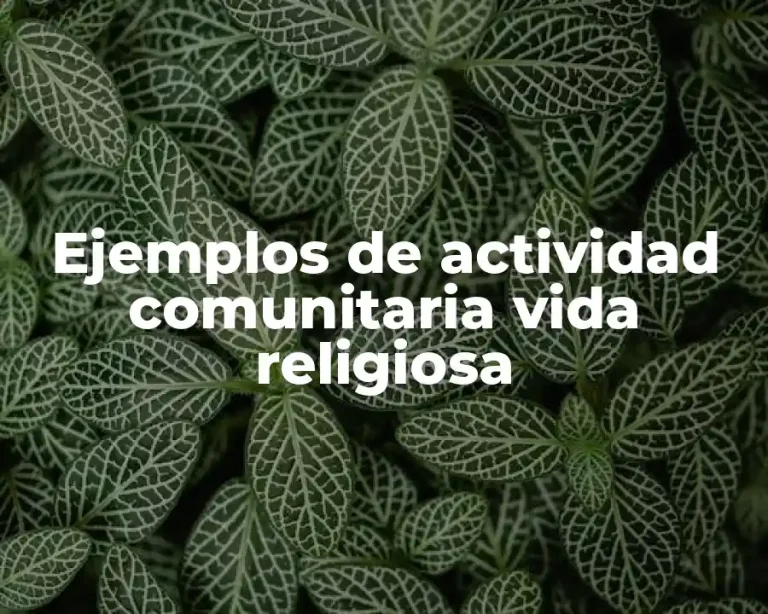 Ejemplos de actividad comunitaria vida religiosa