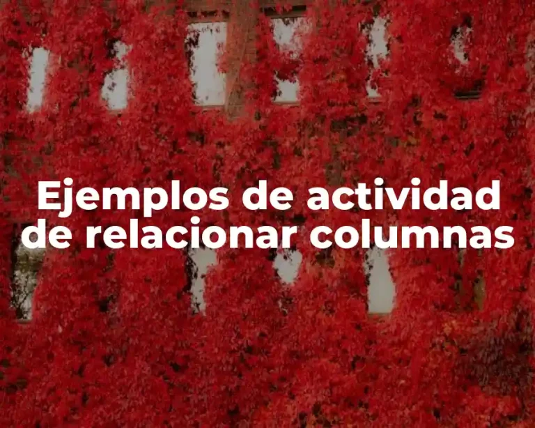 Ejemplos de actividad de relacionar columnas