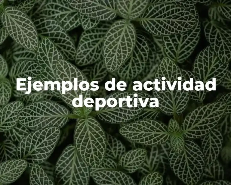 Ejemplos de actividad deportiva