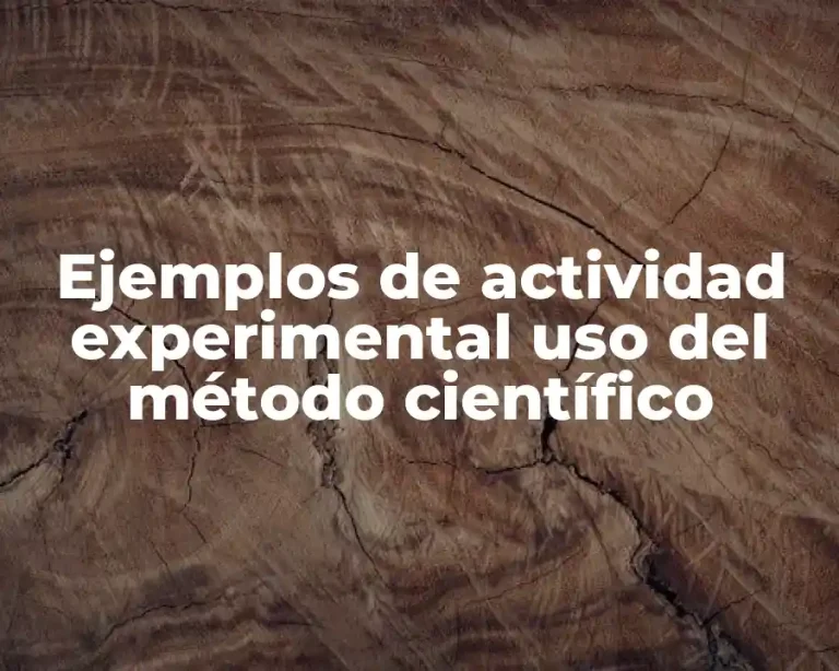Ejemplos de actividad experimental uso del método científico