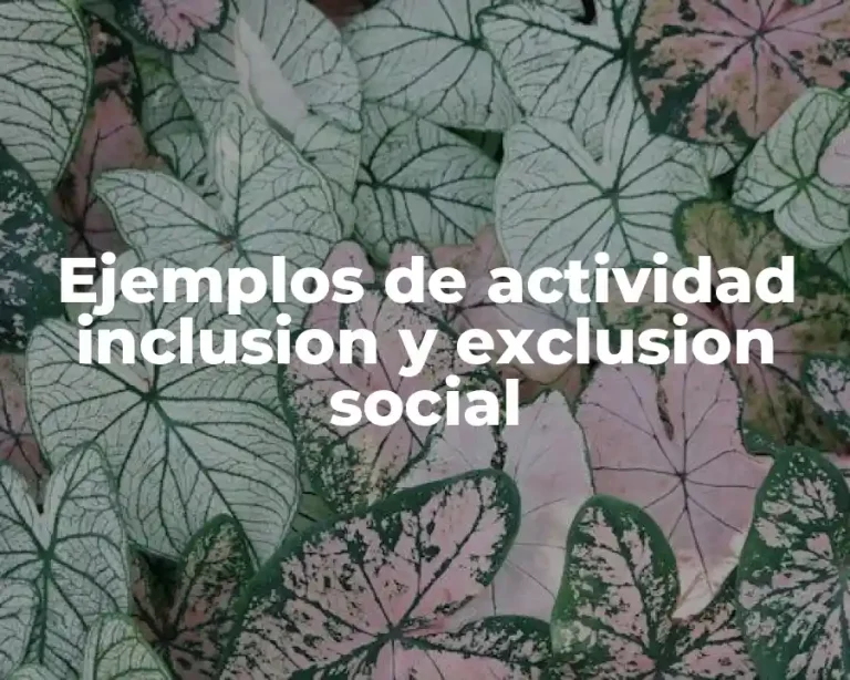 Ejemplos de actividad inclusion y exclusion social