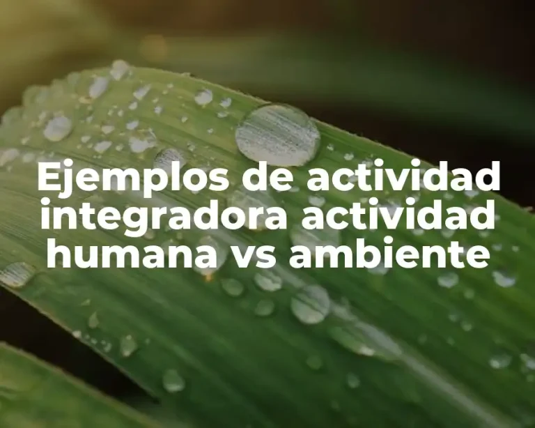 Ejemplos de actividad integradora actividad humana vs ambiente