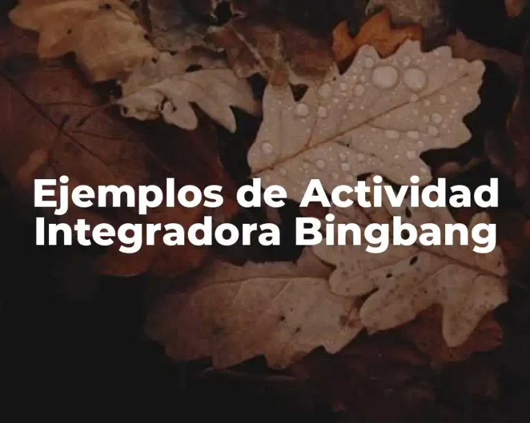Ejemplos de Actividad Integradora Bingbang