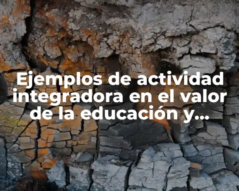 Ejemplos de actividad integradora en el valor de la educación y Significado
