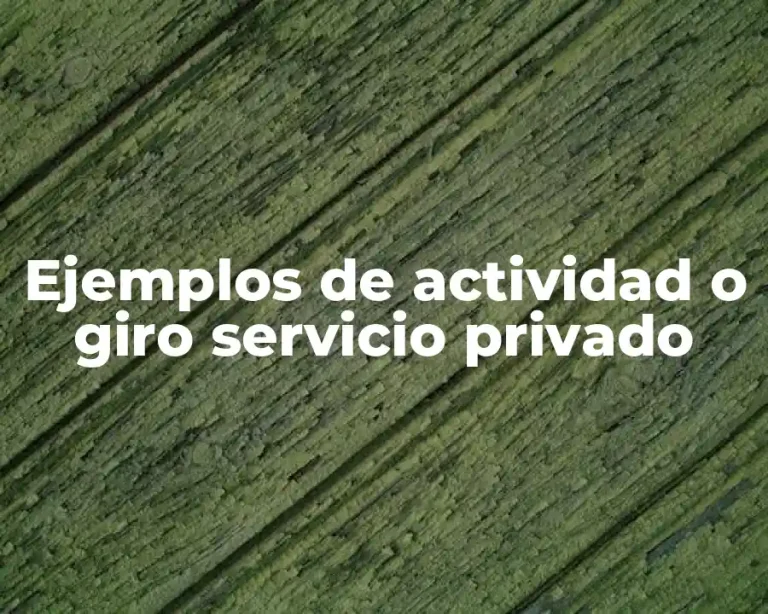 Ejemplos de actividad o giro servicio privado