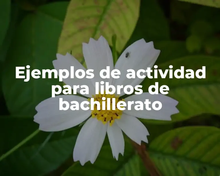 Ejemplos de actividad para libros de bachillerato