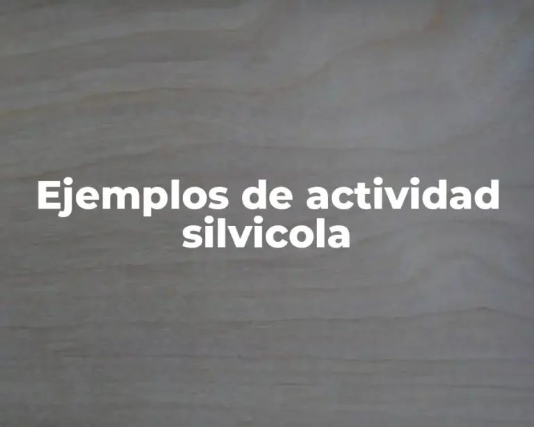 Ejemplos de actividad silvicola