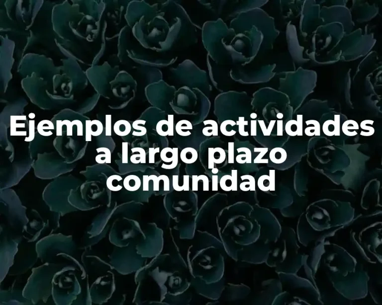 Ejemplos de actividades a largo plazo comunidad