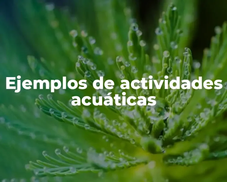 Ejemplos de actividades acuáticas