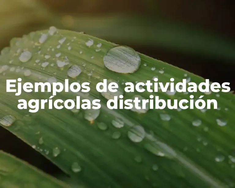 Ejemplos de actividades agrícolas distribución