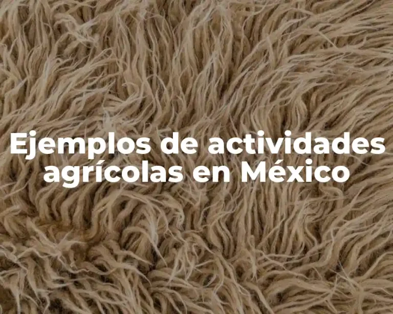 Ejemplos de actividades agrícolas en México