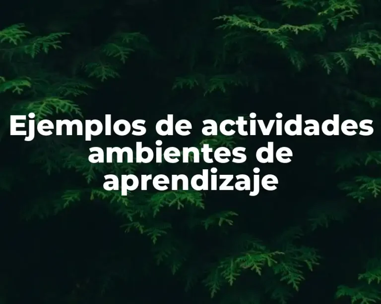 Ejemplos de actividades ambientes de aprendizaje